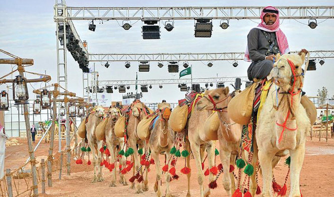 Concurso de belleza de camellos en Arabia Saudí
