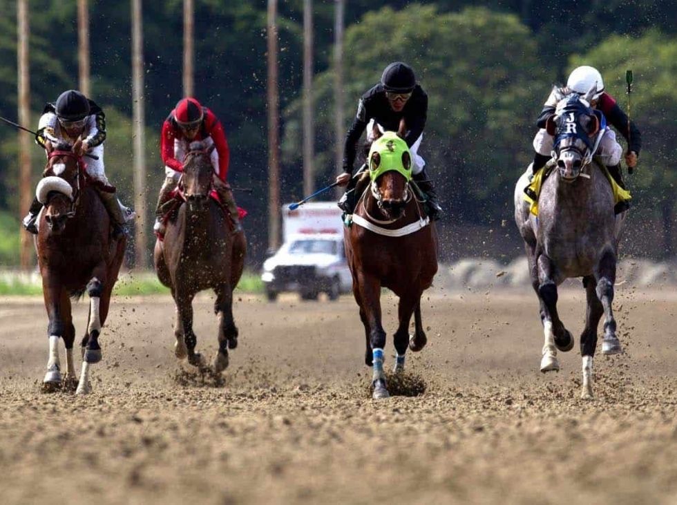 Hipódromo de Valencia va con nueva directiva - noticiacn