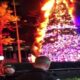 Incendio de árbol de navidad de Fox News