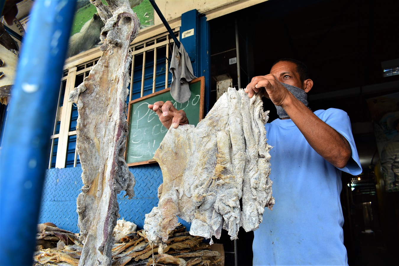 Chigüire pescado aumenta venta- acn