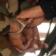 Detienen a militar y dos civiles por tráfico de marihuana - noticiacn