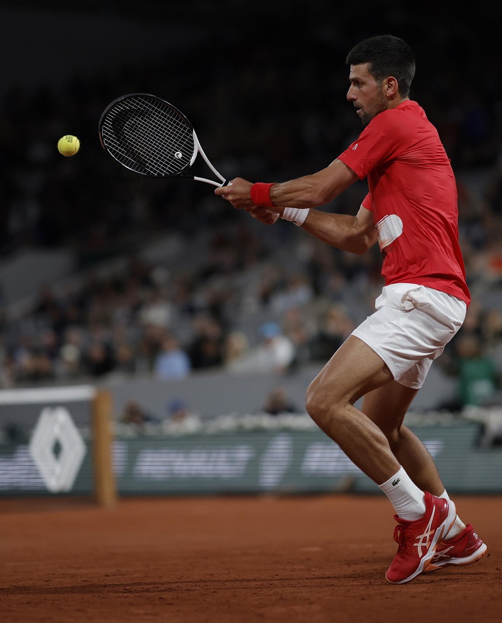 Novak Djokovic se apresura - noticiacn.jpg