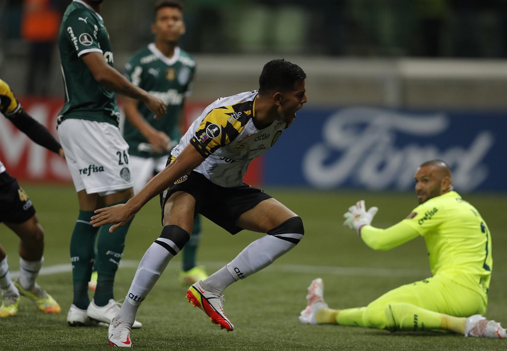 Táchira goleado por Palmeiras - noticiacn