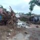 árbol de Samán se cayó en Puerto Cabello-acn