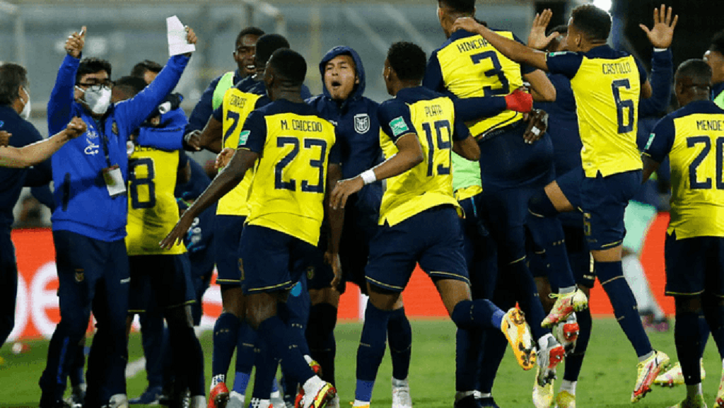 Ecuador sí irá al Mundial  - noticiacn