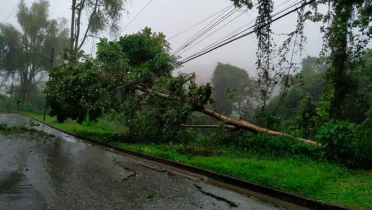 paso del ciclón tropical - acn