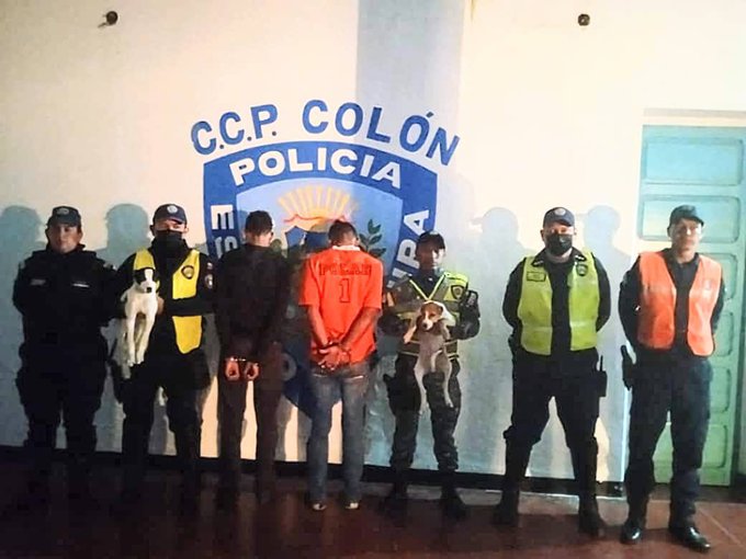 Detenidos por mutilar las orejas de dos perros en Táchira