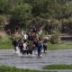 Cientos venezolanos cruzaron el río Bravo - noticiacn