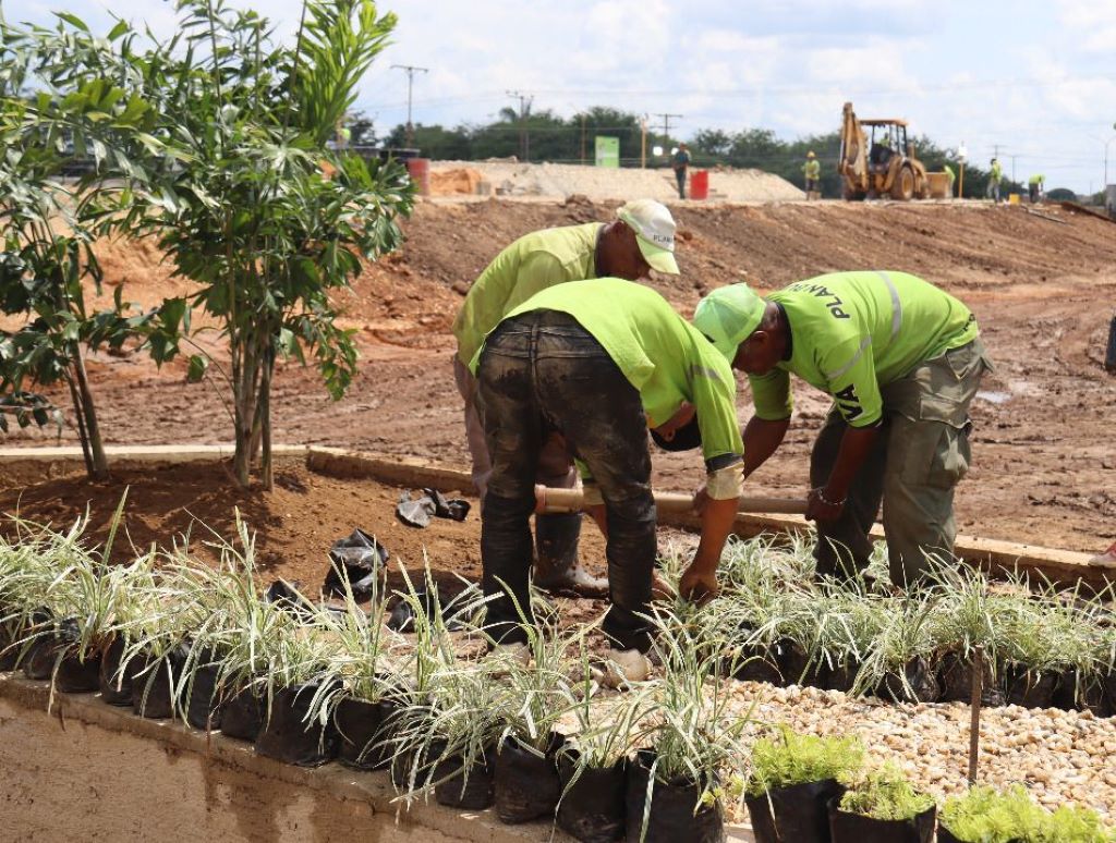 Plan Búho avanza en trabajos del nuevo Parque Alí Primera - noticiacn