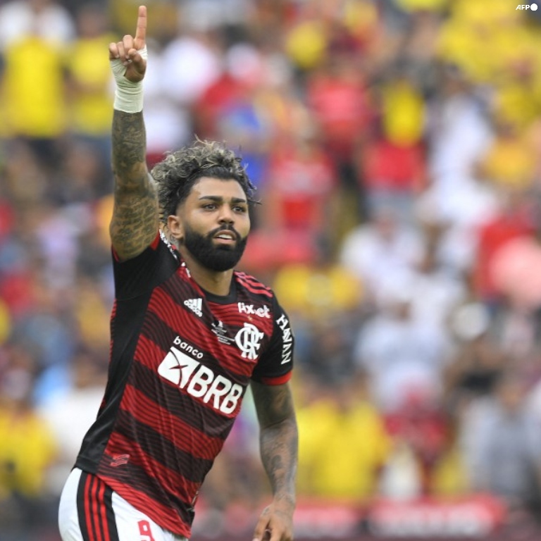 El Flamengo copa Libertadores - acn 