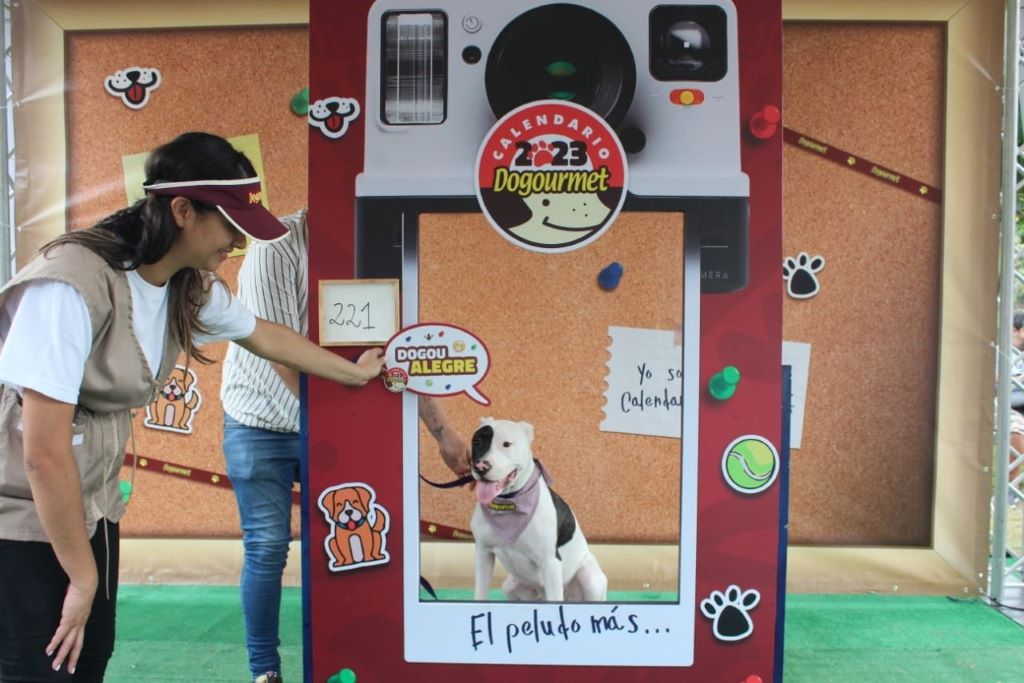 Casting del Calendario Dogourmet 2023 - noticiacn