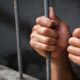 Condenan a hombre por tráfico de droga - noticiacn