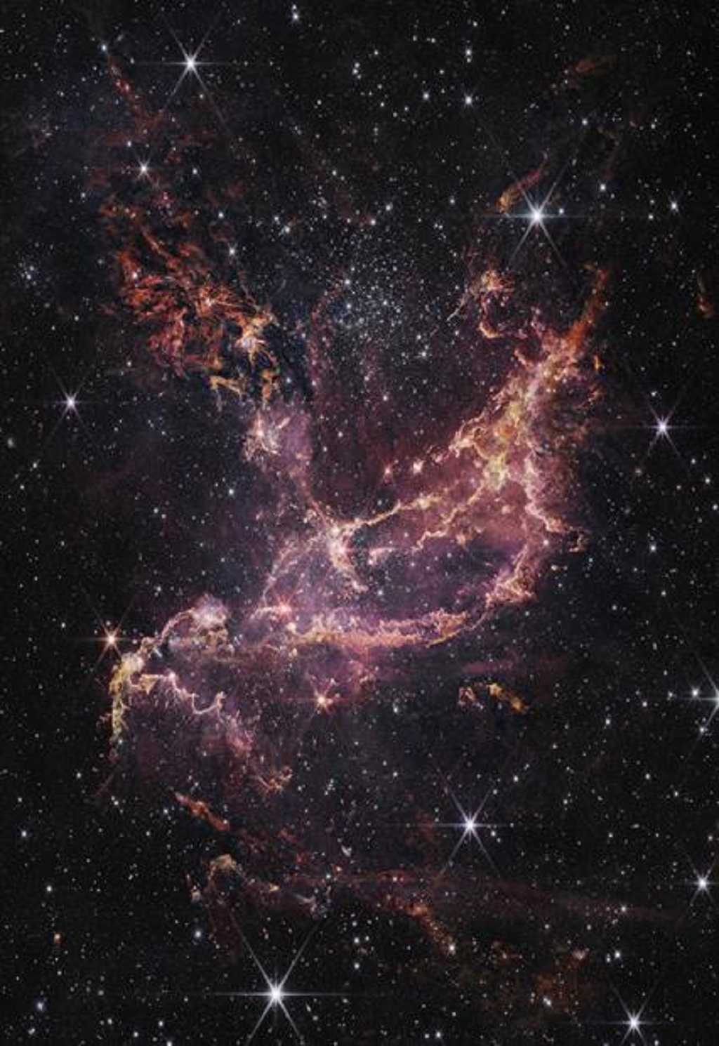 Telescopio Webb descubre polvo estelar - noticiacn