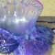 La Guaira medusa fragata portuguesa-acn